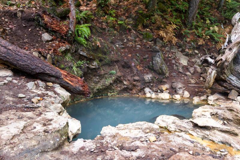 Hot springs pool in the forest. 