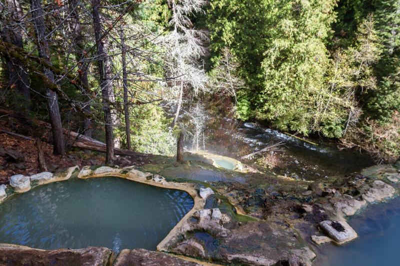 Hot springs pool in forest. 