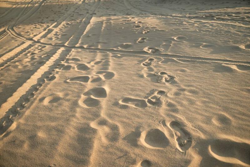 Footprints and vehicle tracks in sand. 