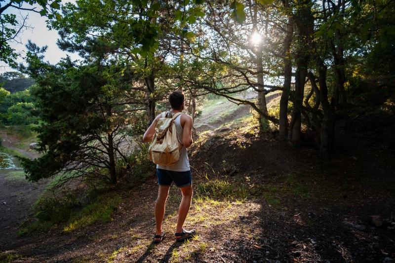 Man Traveler with backpack hiking outdoor in summer sunny forest.