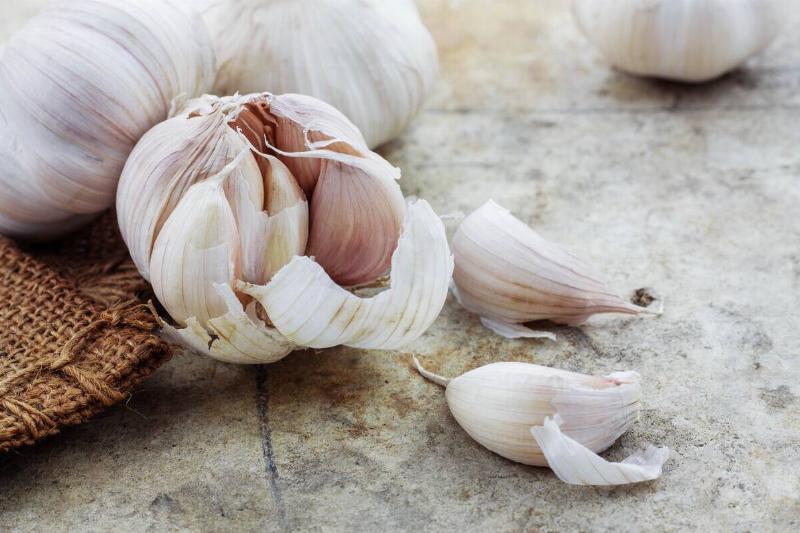 close up bulbs of garlic
