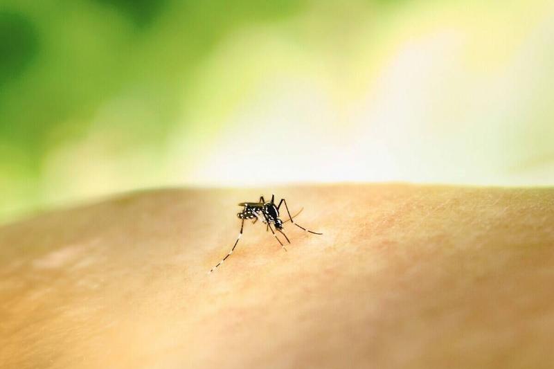 national-institute-of-allergy-and-infectious-diseases-eOR3TOE9Jw0-unsplash