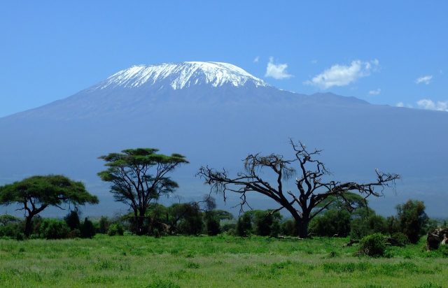 kilimanjaro-1025146_1280