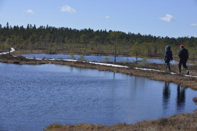 The Soomaa National Park in Estonia the unique bog area that has five seasons in a year it is claimed by the locals. Picture By: www.thetraveltrunk.net