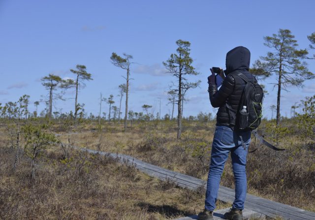 The Soomaa National Park in Estonia the unique bog area that has five seasons in a year it is claimed by the locals.   Picture By: www.thetraveltrunk.net