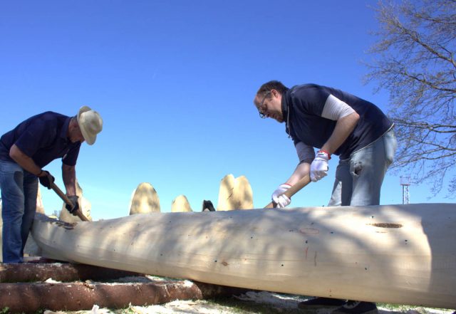 Dugout canoe making in the Soomaa National Park in Estonia the unique bog area that has five seasons in a year it is claimed by the locals. Picture By: Aivar Ruukel