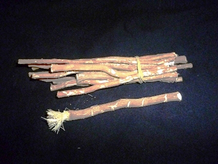 miswak2