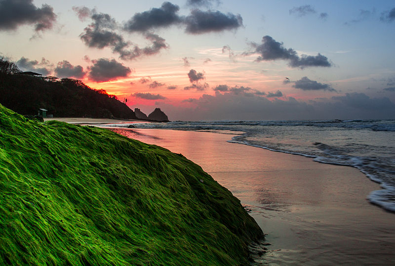 Sunset in Fernando de Noronha Archipelago, Brazil/ Credit:  Danilo de Castro 
