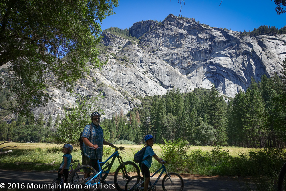 Biking in Yosemite Valley