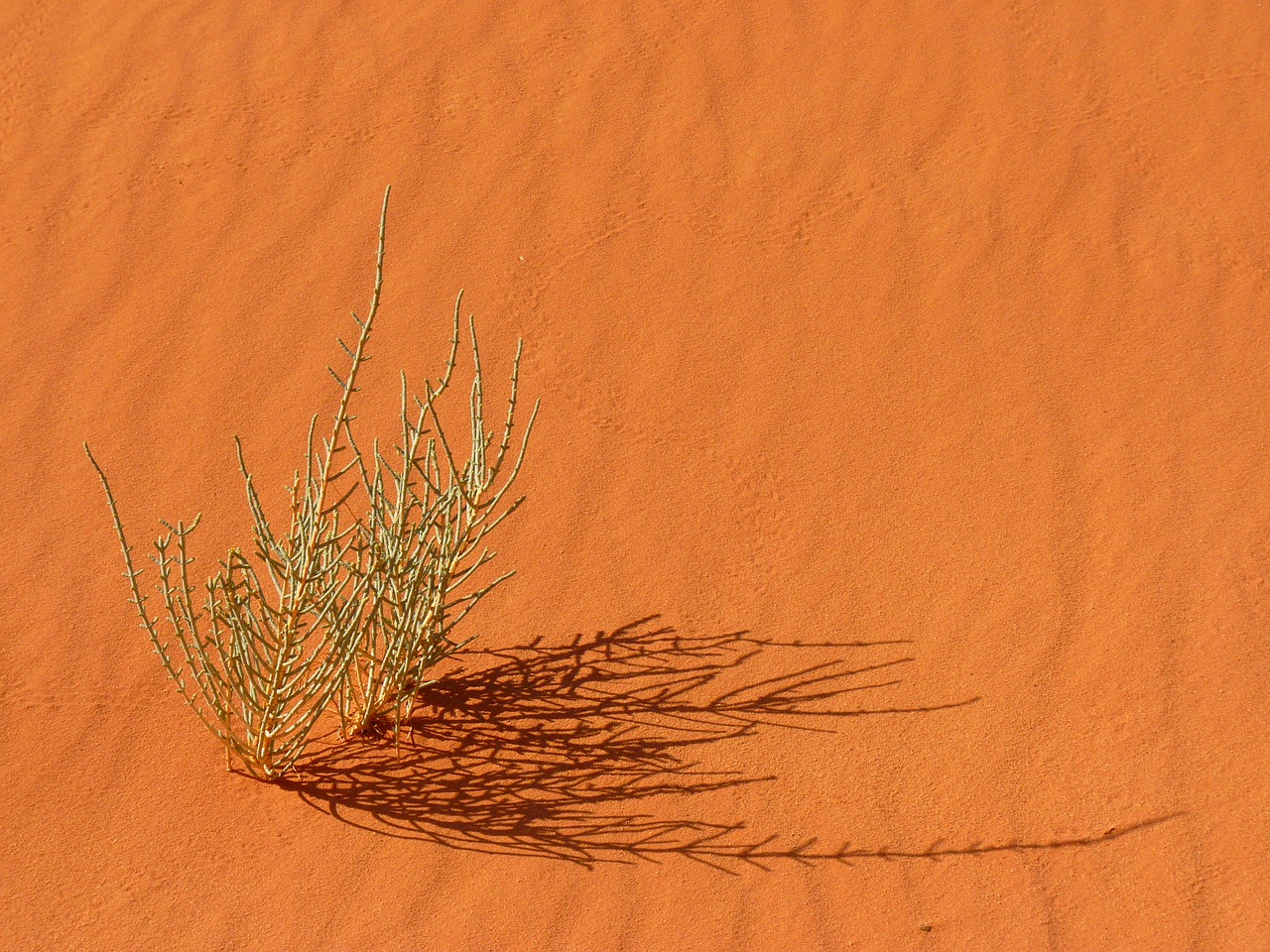 wadi-rum-3030_1280