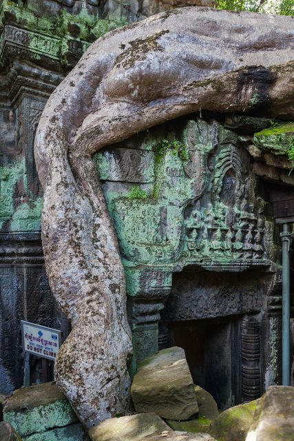 The design of Ta Prohm is that of a typical “flat” Khmer temple. Diego Delso/source