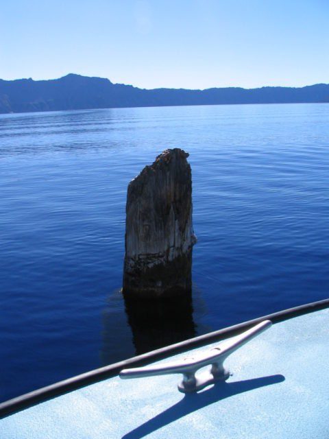 View of the Old Man a piece of driftwood that has been floating in the lake for at least 70 years. Source