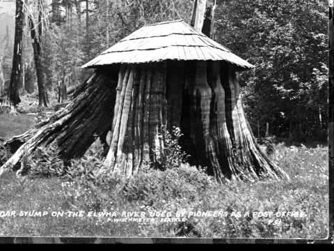 Stump house on the Elwha river Photo Credit