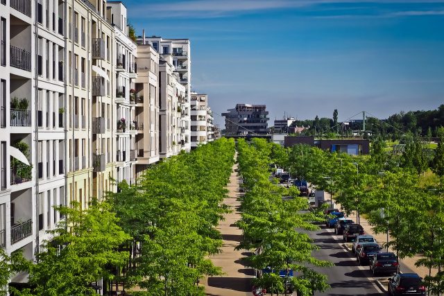 City planning needs to include more trees but they need to be in the right places