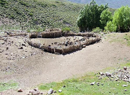 Traditional thorn stockade used to protect both livestock and herders