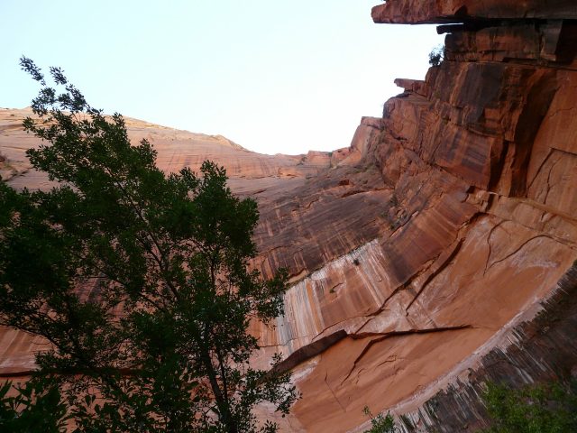Immense rock faces aplenty in Zion National Park