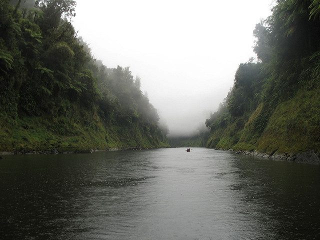 Whanganui River. Photo credit