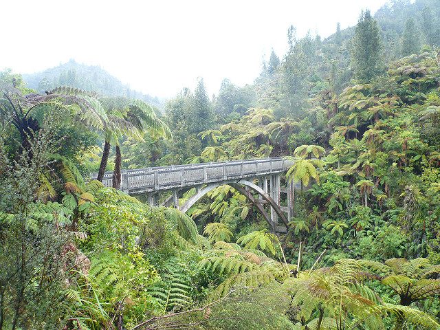 Whanganui River, a Bridge to Nowehere. Photo credit