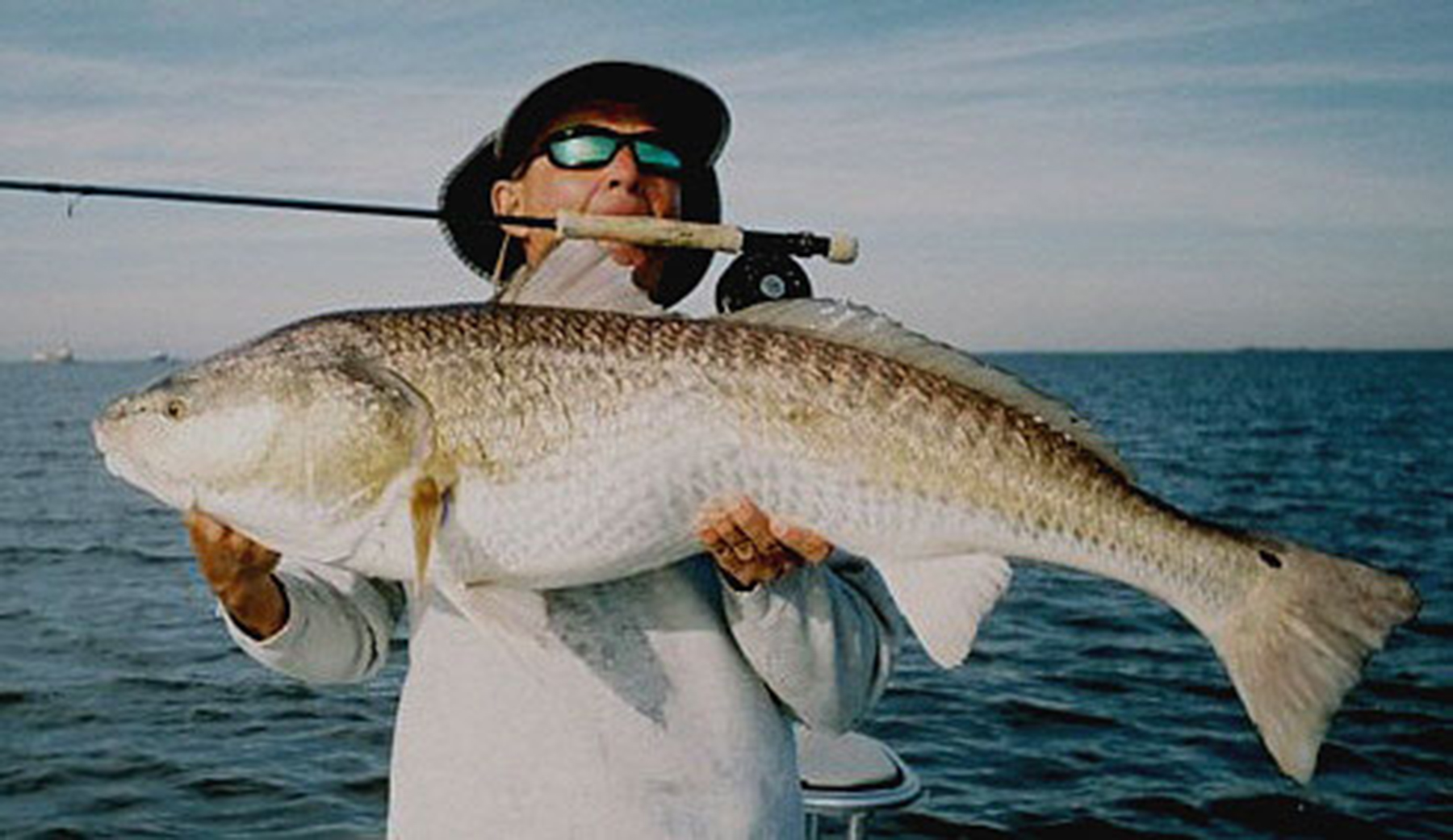 Author: Louisiana Angler –
 CC BY-SA 3.0