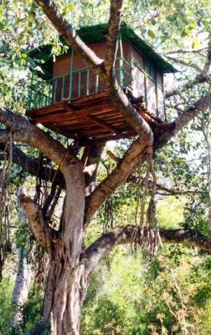 Treehouse in Kerala India Photo Credit