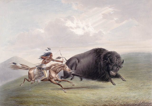 Hunting Bison in USA by George Catlin