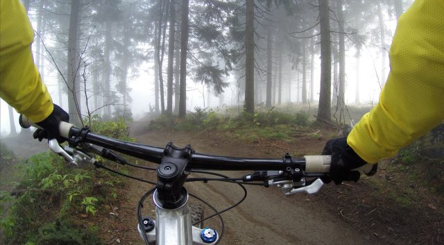 Nothing beats an open trail on a misty Sunday morning ride.