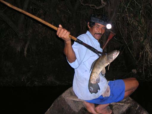Night spear fishing , Amazon basin ,Peru. taken by:Yuval gelber