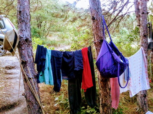 Drying out your clothes if you plan on wearing them again is important to keep bacteria away