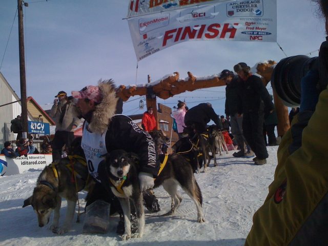 Hans Gatt poses with dogs at Iditarod finish. Photo credit