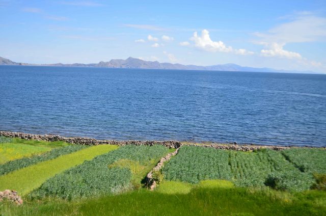 Lake Titicaca from the island
