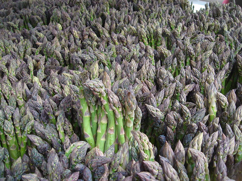 Asparagus Photo Credit
