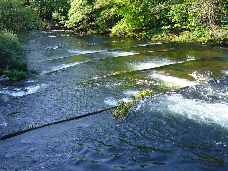 Tips on how to catch a fish in a survival situation | Outdoor Revival