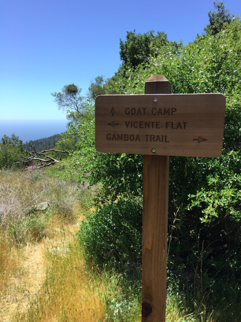 The trail is easy to follow with the help of nice (and new!) signs