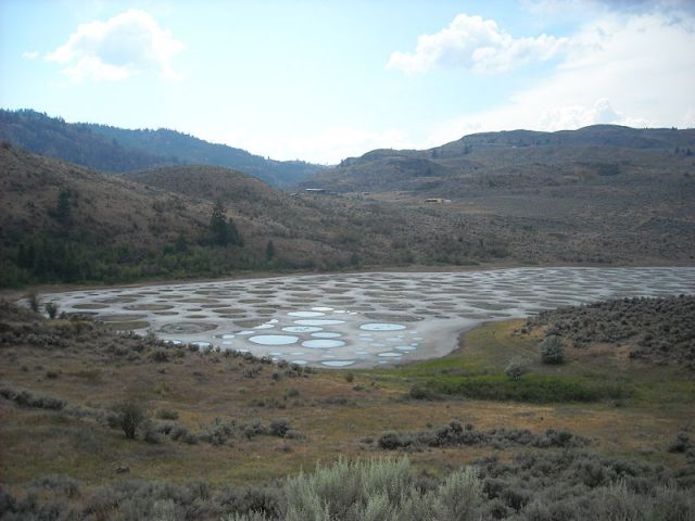 Spotted Lake Photo Credit