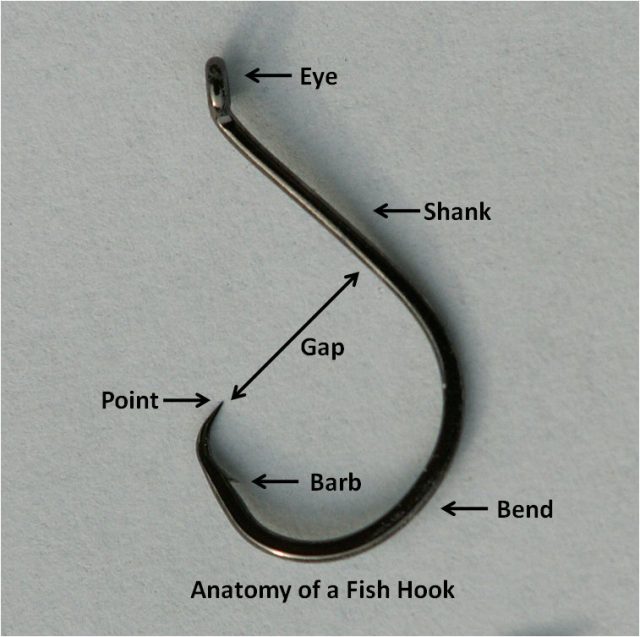 Anatomy of a Fishhook – Author: I, Mike Cline – CC BY-SA 3.0
