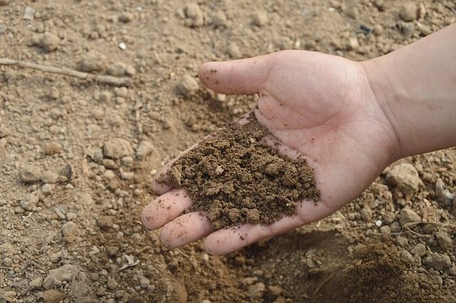 garden dirt soil