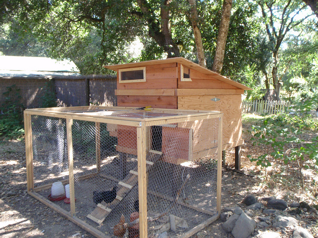 Mostly finished Chicken coop! – Author: rebecca.shiraev@sbcglobal.net – CC BY 2.0