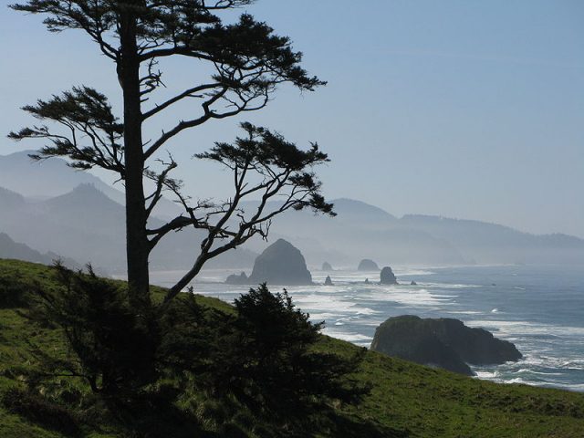 Ecola State Park and Haystack Rock – Author: Brmuchim – CC BY-SA 3.0