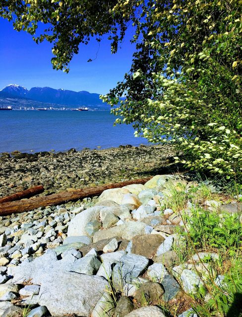 Whatever beach you choose in BC, you can be sure to find stunning scenery there