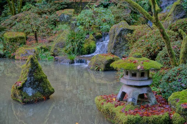 Fall is the best time to see the maples in vivid color at Portland Japanese Gardens, Washington Park