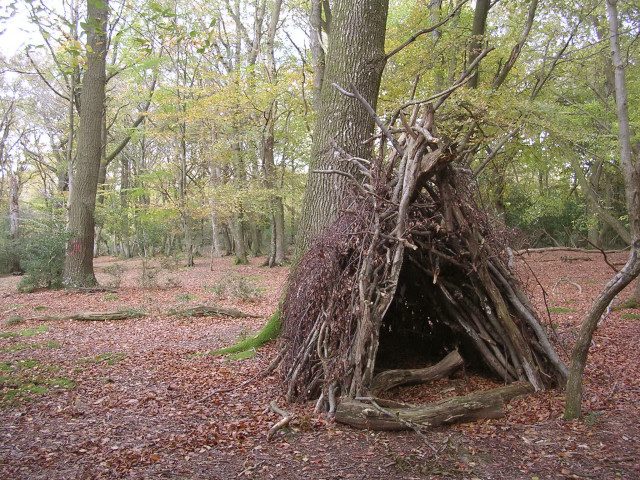 Temporary wooden shelter on Lyndhurst Hill, New Forest – Author: Jim Champion – CC BY-SA 2.0