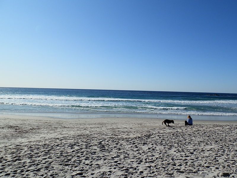 The beach on a sunny afternoon at Carmel-by-the-Sea – Author: Arzun – CC BY 3.0