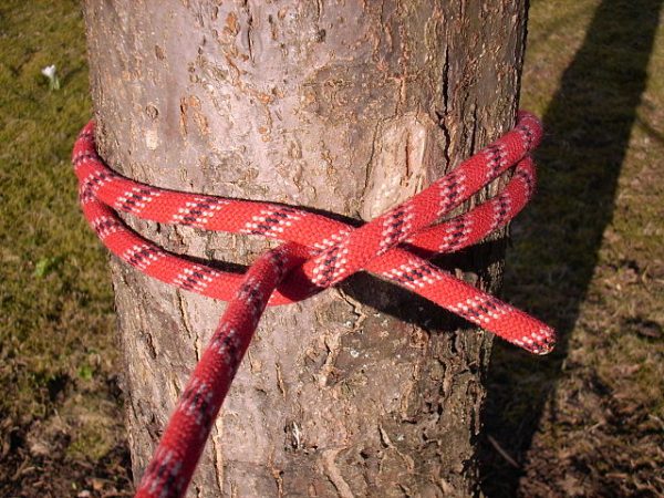 Clove Hitch (or Double Hitch) knot tied around a tree