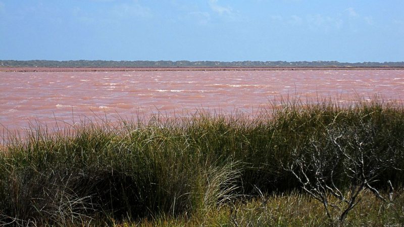 Hutt Lagoon, Western Australia – Author: Samuel Orchard – CC BY-SA 3.0
