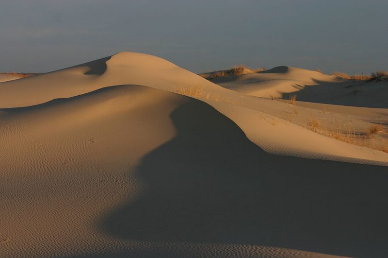 Sand dunes at sunrise. Taken at Monahans Sandhills State Park, Monahans, Texas, USA – Author: Wing-Chi Poon – CC BY-SA 3.0