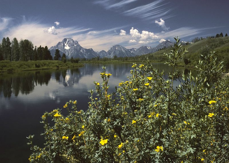 Oxbow Bend on the Snake River – Author: Michael Gäbler- CC BY 3.0