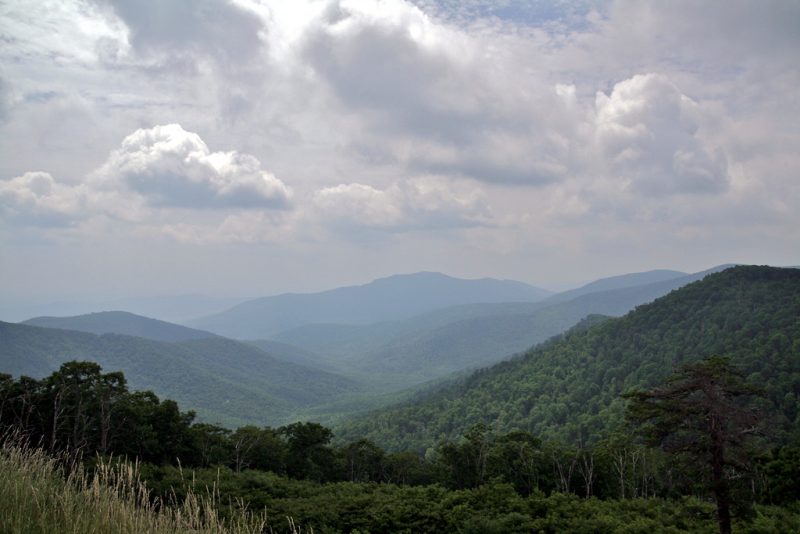Shenandoah National Park at one of its many scenic overlooks – Author: Wallygva – CC BY-SA 2.5