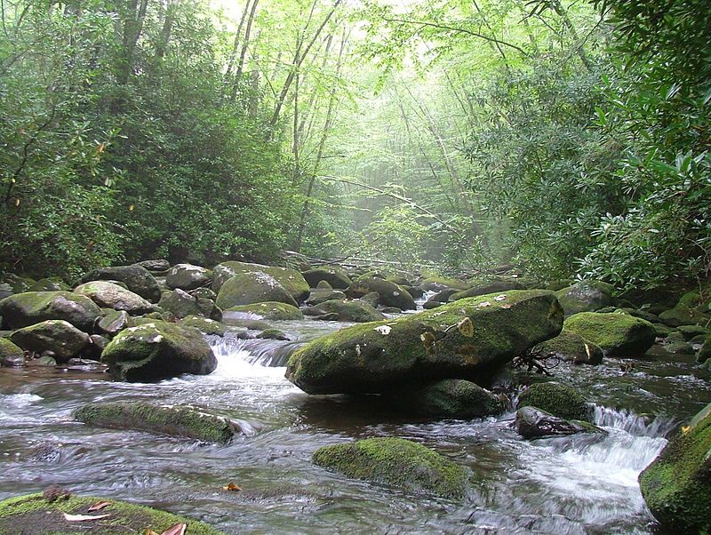 South Fork of Citico Creek located in Citico Creek Wilderness, within the Cherokee National Forest in Monroe County, Tennessee – Chris M – CC BY-SA 2.0