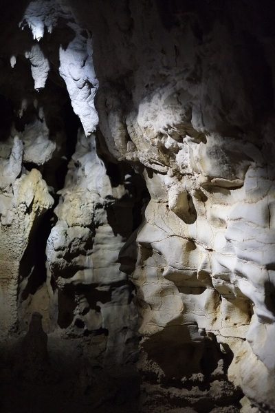 Waitomo Glowworms Cave