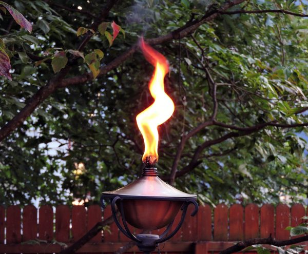 The smell of citronella is pleasant to most people – but many bugs hate it